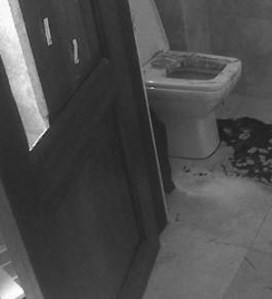 191ebea3e0d04768bff9f18cbe41239a