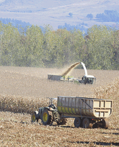 474fa47c200a49a598c6e72794a4e991