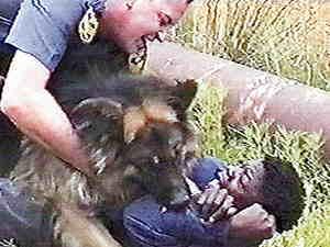 newspic3a08dffbc747f