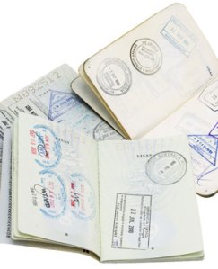 345d09d7c24e475889dac8e66d74c41d