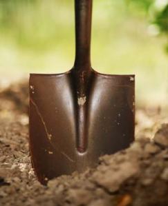 5c639518156344f29141f799f5cef58d