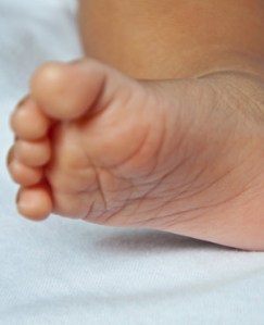 9d5eb2a8af5844679e0b9ea7c61510c7