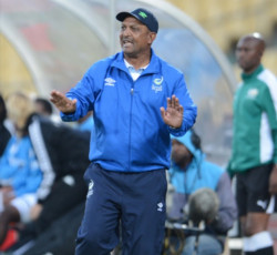 AllanFreese-calm130805G230