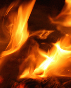 51a53fb1a0c74c4dad77e91436710c35