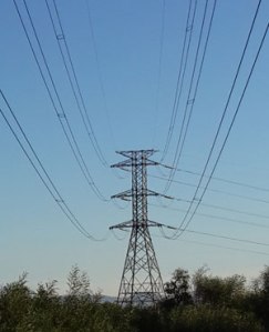 bc5648e023834a66a04bdd184f1a9791