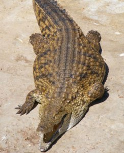 383edcbedd024b04a62fc53d651f80cd