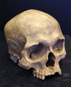 38bf5f1817b94d7094c50022883ee767