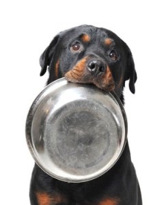 5fc02bb1d6cd4bb5b23525e510a4911f