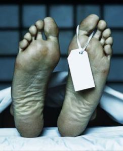 68a90bfa3e604161bc40194d972aac9f