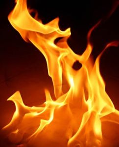 6d898da1642a4511a4d0c1580f81a1d5