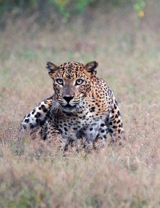 8b86282f934e46e98219d7a2bd72869e