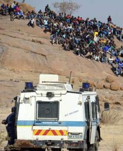 a49c0d71d9b244b08cd6e79a35f78a8a