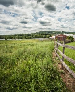 a095cdc68da74bff98ceef500c3ebc63