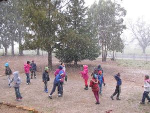 a744bf1450cd44b6987786f1fc7c640a