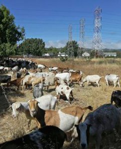 ed6ccf59ce6d447c863c517b814fa0a1