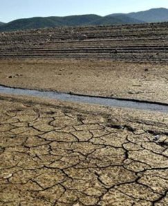 f94e5fa90a9a463d9d949d74e8faca67