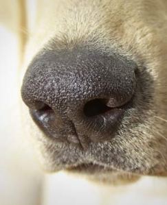 ea48fb9b17ce4f98b74439f8fa5372f3