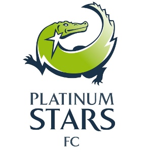 PlatStars_logo20101308
