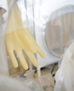 63cf11458d024a62bc973c65c461b1c0