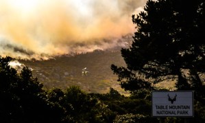 2bc629aecfe040048c486e86fc430081