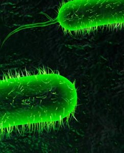 680413ebeea844bca41682febbc4f6cc