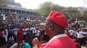 11219697_435048390014632_6608835453740652422_n