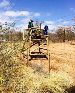 ec52c8ebc974478c89c063c8f51184a3