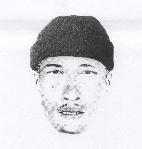 Jan Kemp rape ID 2 001