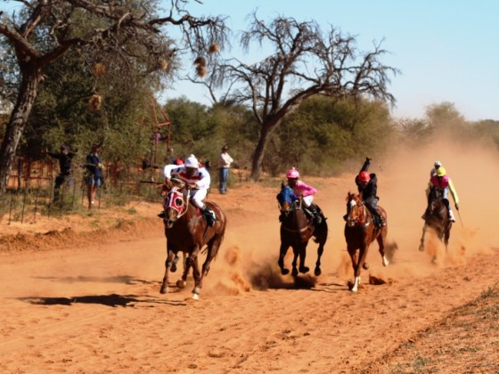 Picture 11 Bray July Horse Race 2016