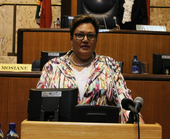 img_8209mec for feed,wendy nelson tabling 2017-18 provincial adjustment budget speech706481888..jpg