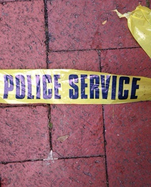 More than 900 suspects nabbed during Operation Shanela | The Guardian