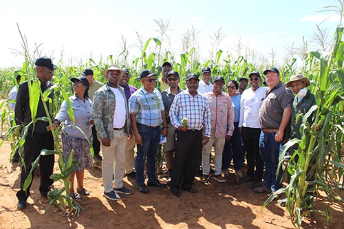 Workshop explores the establishment of an Agri Hub in North West | The ...