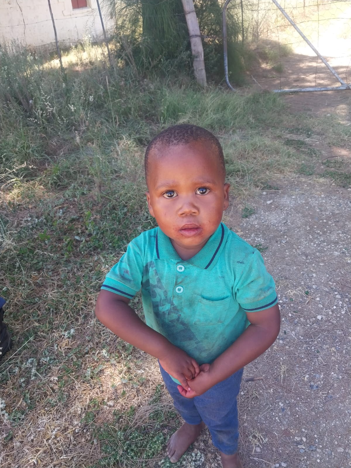 A boy who was reported missing found unharmed | The Guardian